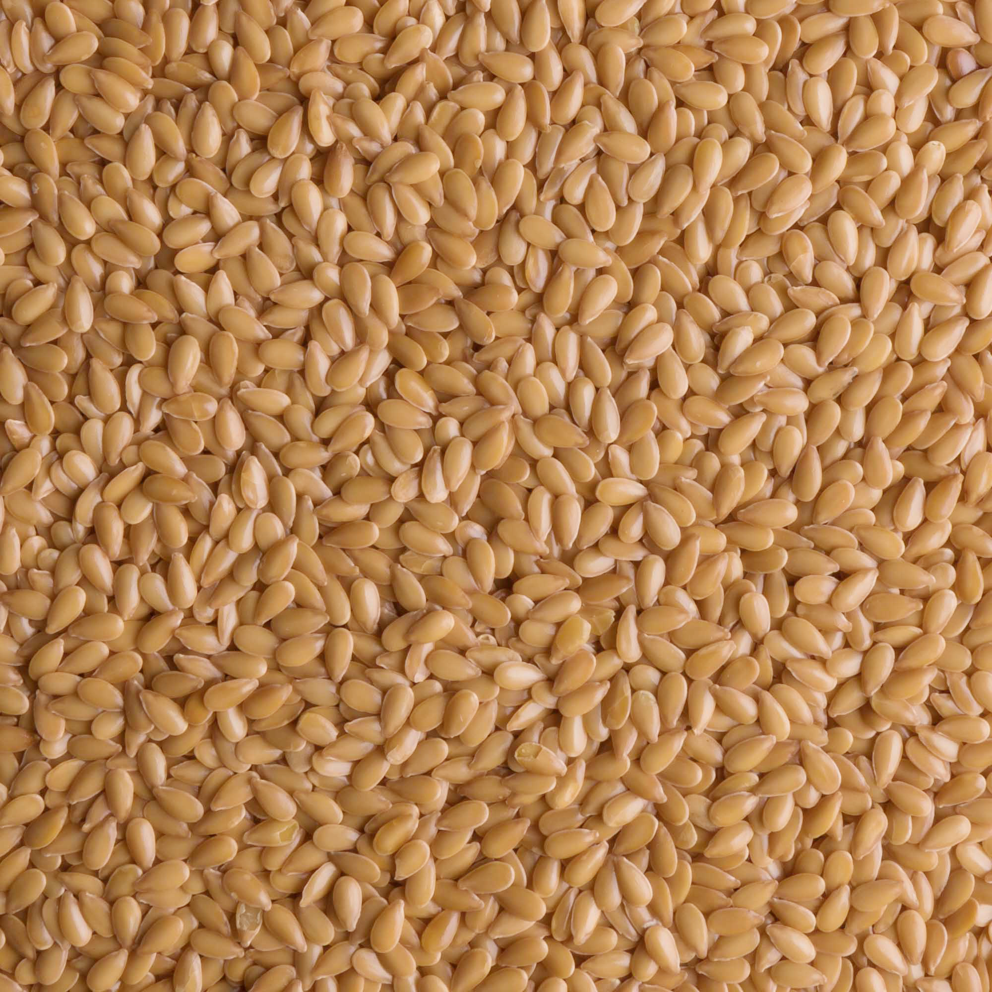 Golden Flax seeds