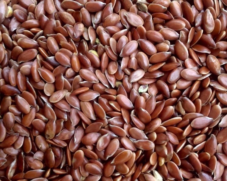 Brown flax seeds