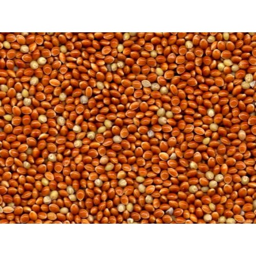 Red Millet